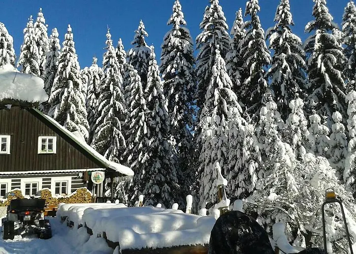 Penzion U Pirata 招待所 *