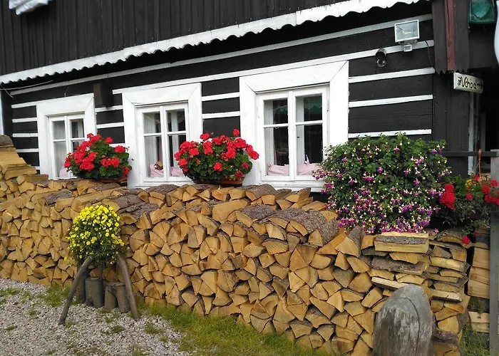 Penzion U Pirata 招待所 *